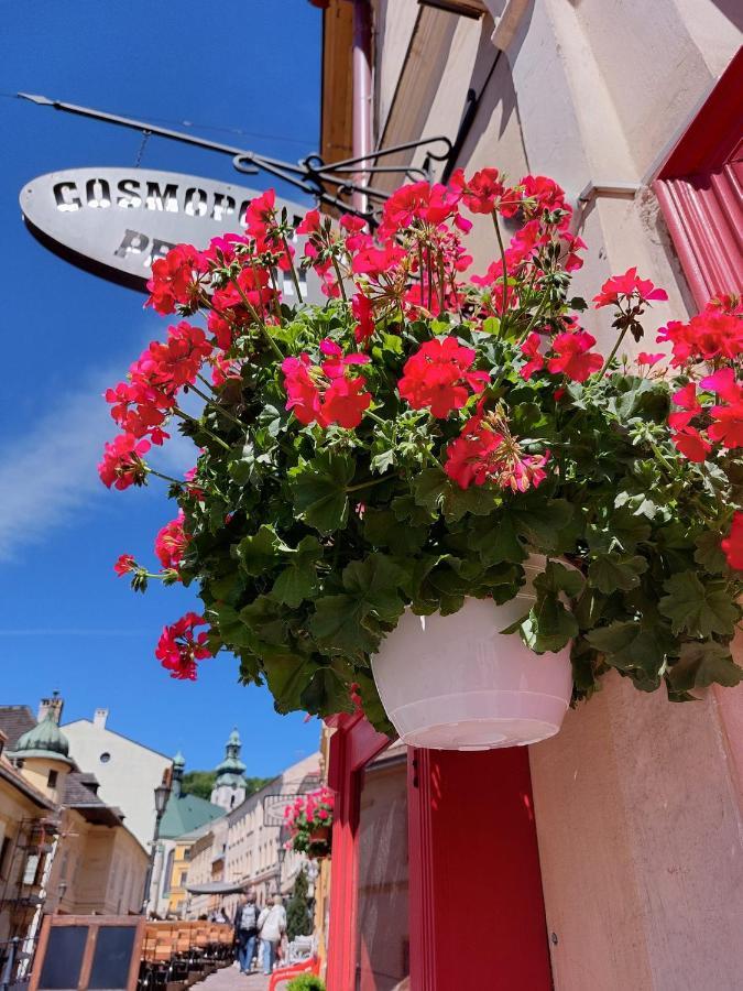 Penzion Cosmopolitan II. Banská Štiavnica Exteriér fotografie